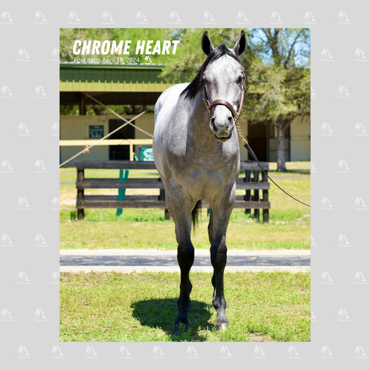 Chrome Heart Portrait Photo