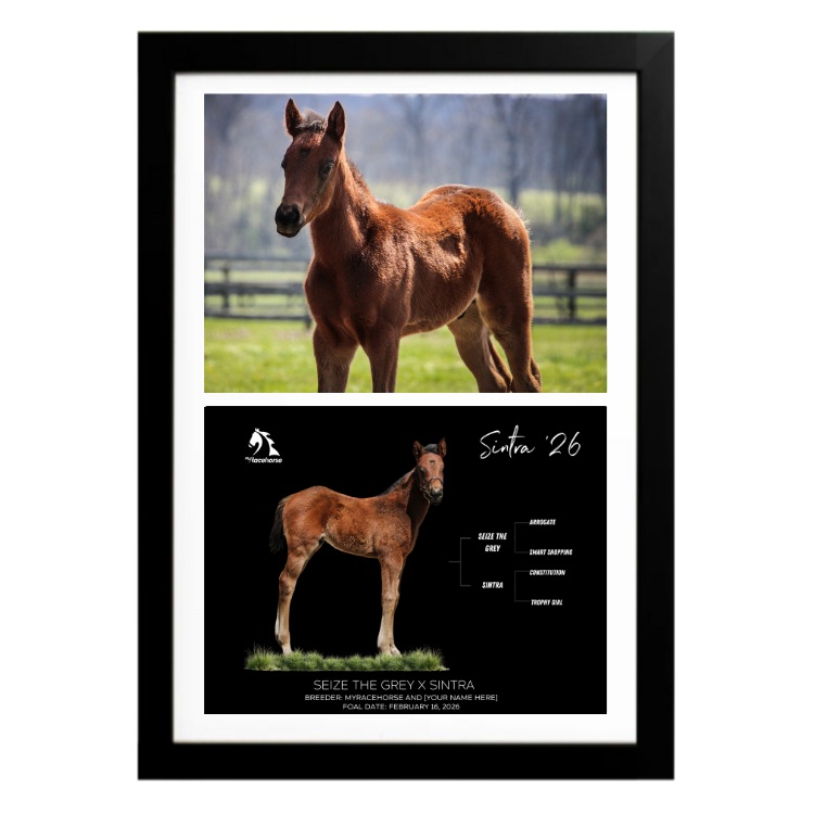 Seize the Grey X Sintra '26 - Collage Frame