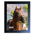Load image into Gallery viewer, Bacio Portrait Photo
