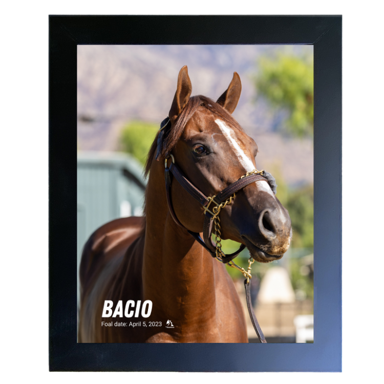 Bacio Portrait Photo