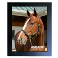 Load image into Gallery viewer, Woodburn Portrait Photo
