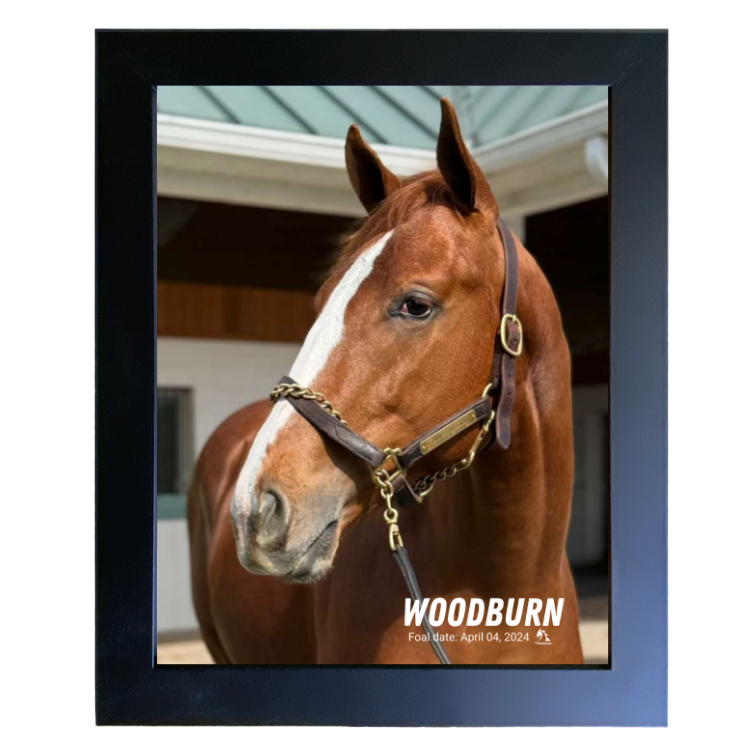 Woodburn Portrait Photo