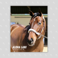 Load image into Gallery viewer, Aloha Lani Portrait Photo
