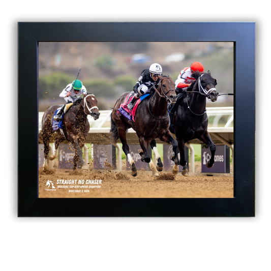 Straight No Chaser Breeders' Cup Dirt Sprint Champion - Down the Stretch