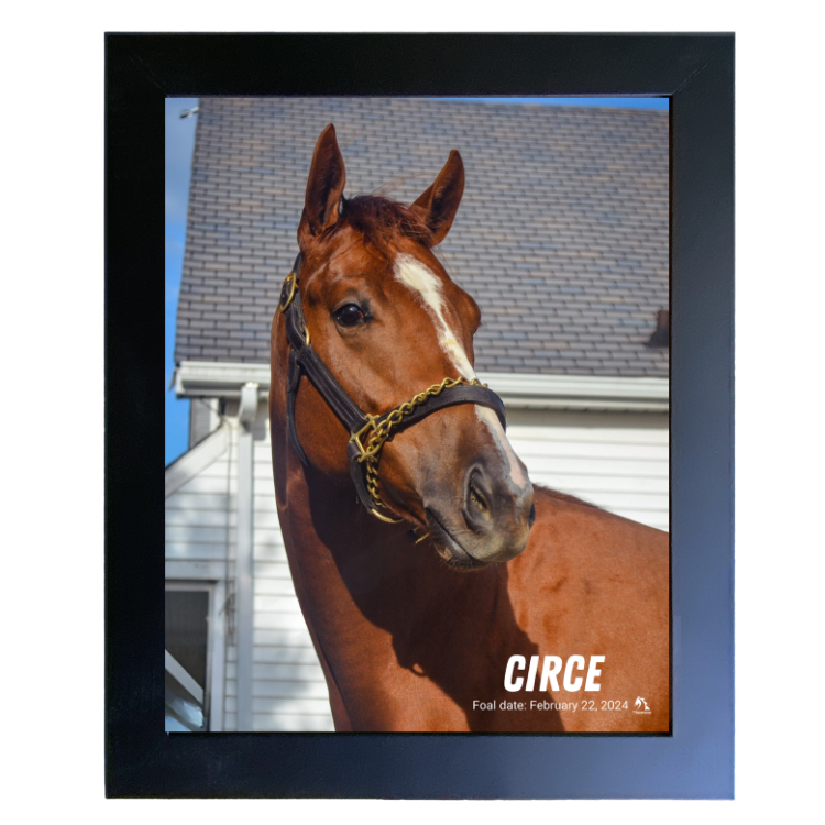 Circe Portrait Photo