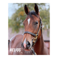 Load image into Gallery viewer, Helios Portrait Photo
