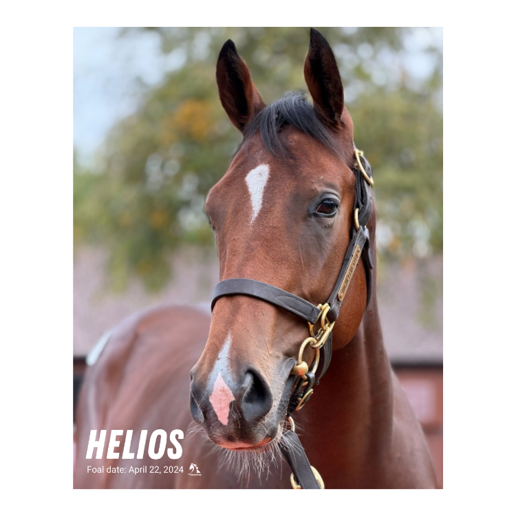 Helios Portrait Photo