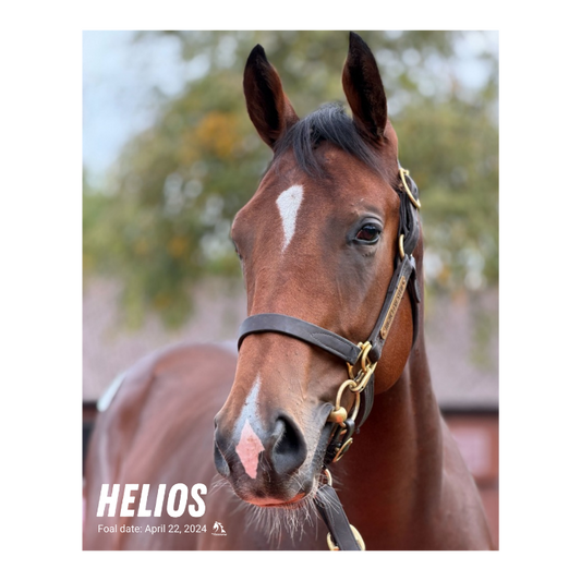 Helios Portrait Photo