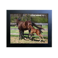 Load image into Gallery viewer, Vekoma X Littlest Warrior 26' Candid Photo
