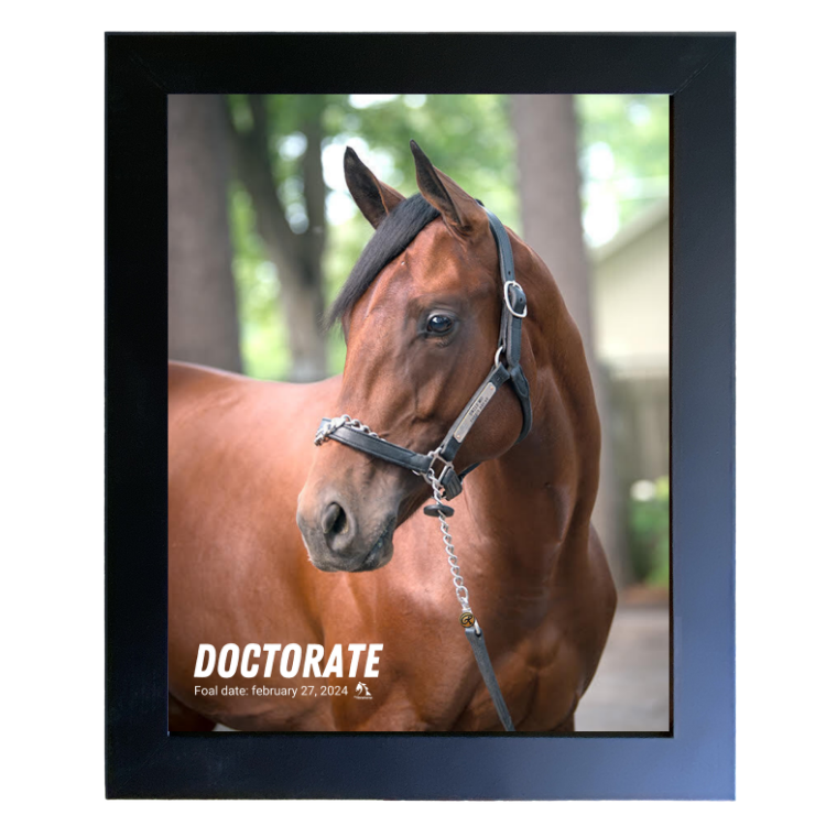 Doctorate Portrait Photo