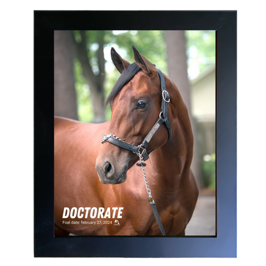 Doctorate Portrait Photo