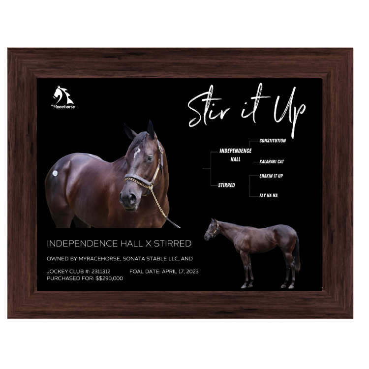 Stir it Up Owner Photo