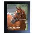 Load image into Gallery viewer, Start the Party Portrait Photo

