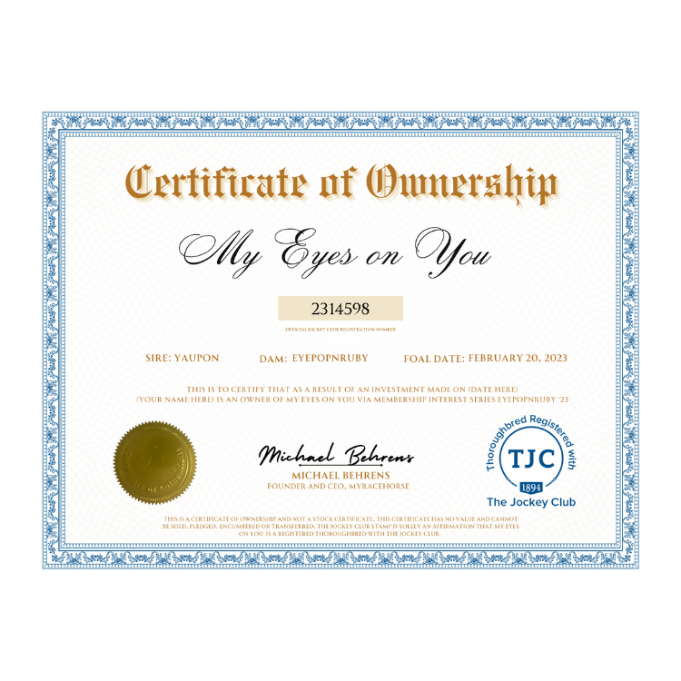 My Eyes On You Certificate of Ownership