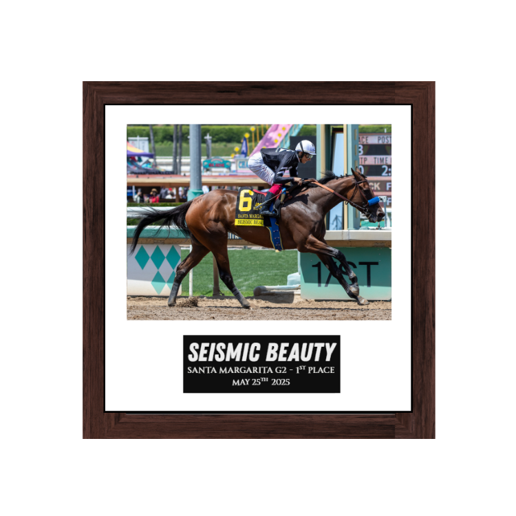 Seismic Beauty - Santa Margarita G2 Photo Frame