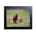 Load image into Gallery viewer, Prince of Monaco X Lazara 26' Candid Photo
