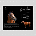 Load image into Gallery viewer, Conviction Owner Photo
