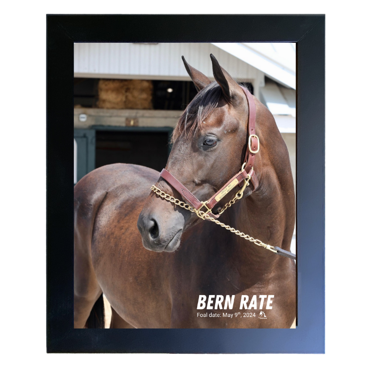 Bern Rate Portrait Photo