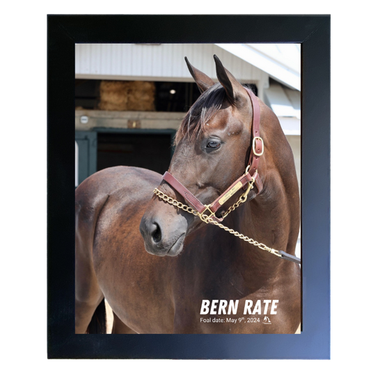 Bern Rate Portrait Photo