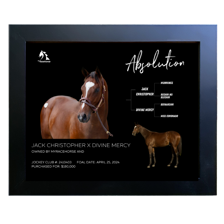 Absolution Owner Photo