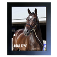 Load image into Gallery viewer, Bold Type Portrait Photo
