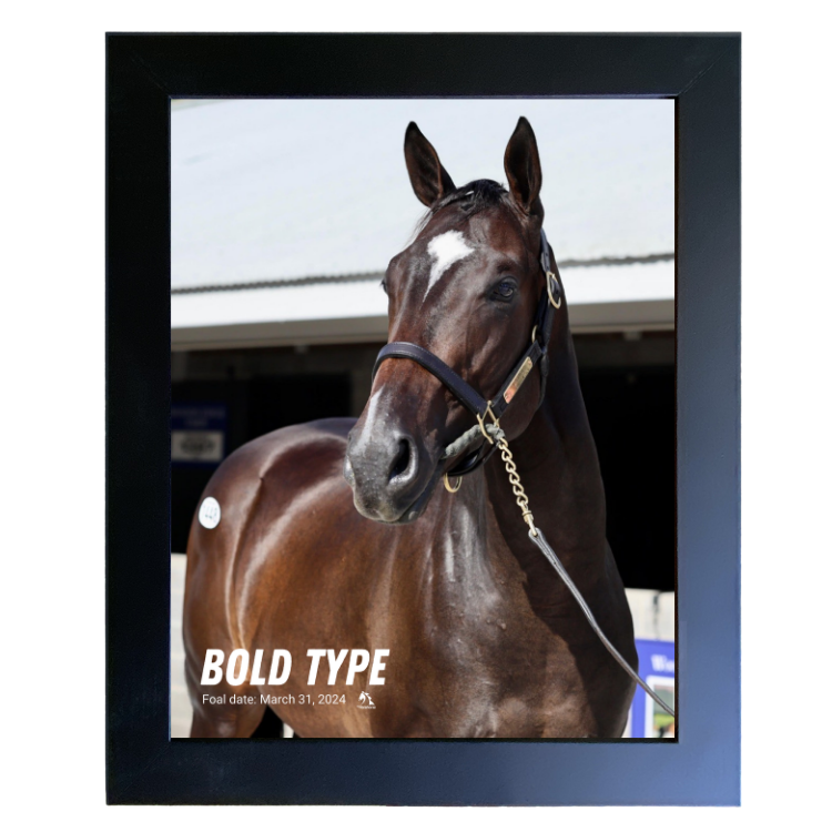 Bold Type Portrait Photo