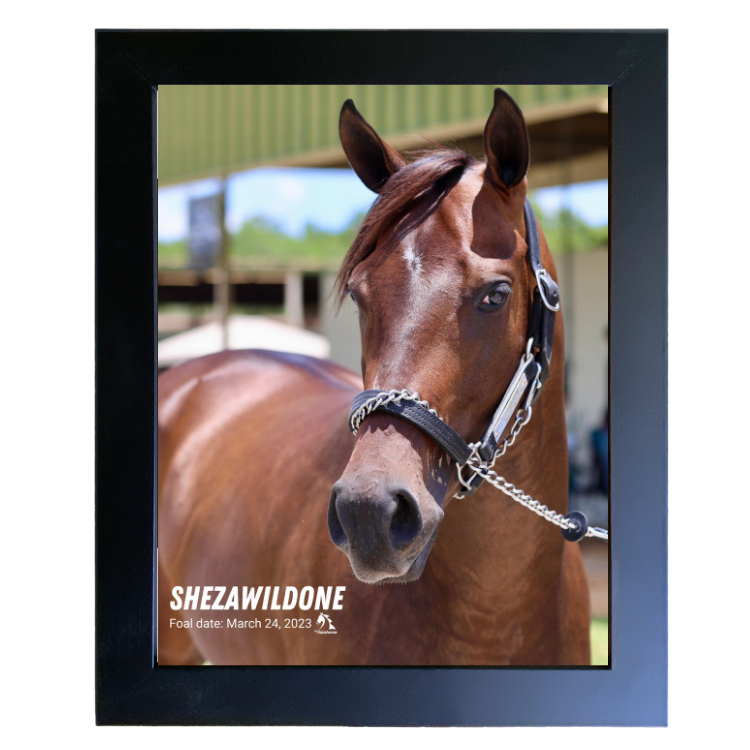 Shezawildone Portrait Photo