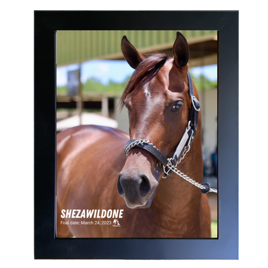 Shezawildone Portrait Photo