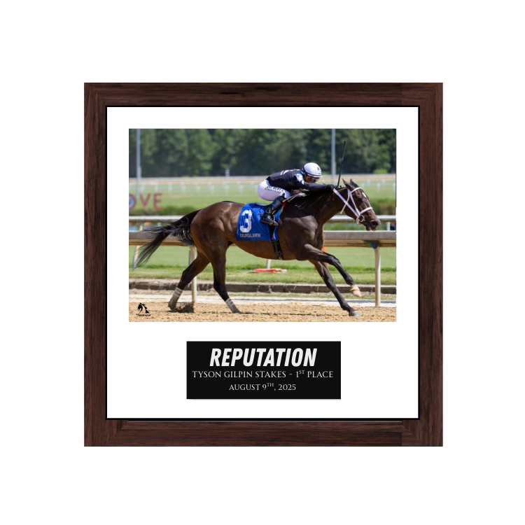 Reputation - Tyson Gilpin Stakes Photo Frame