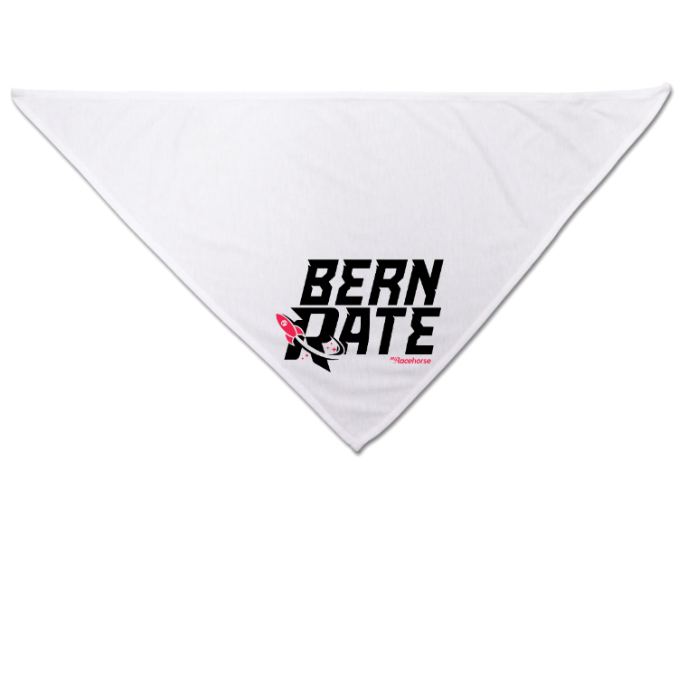 Bern Rate Dog Bandana