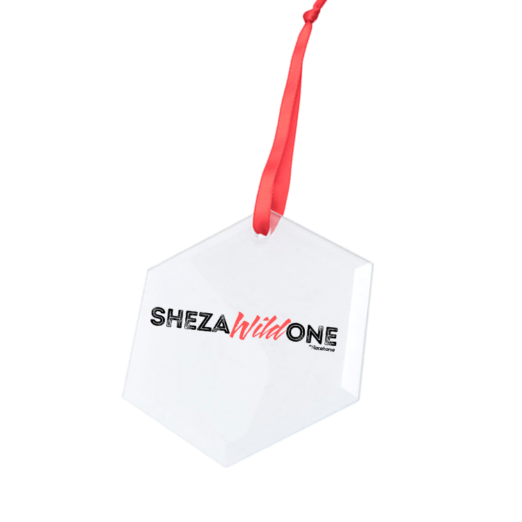 Shezawildone Hexagonal Glass Ornament