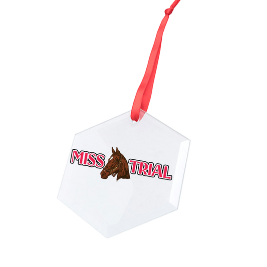 Misstrial Hexagonal Glass Ornament
