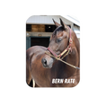 Load image into Gallery viewer, Bern Rate - Rectangular Magnet
