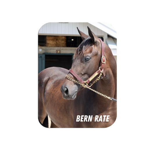 Bern Rate - Rectangular Magnet