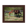 Load image into Gallery viewer, Vekoma X Littlest Warrior 26' Candid Photo
