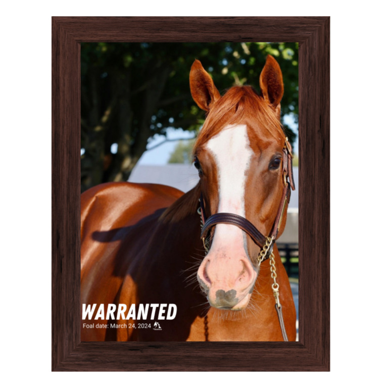 Warranted Portrait Photo