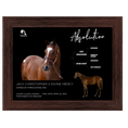 Load image into Gallery viewer, Absolution Owner Photo
