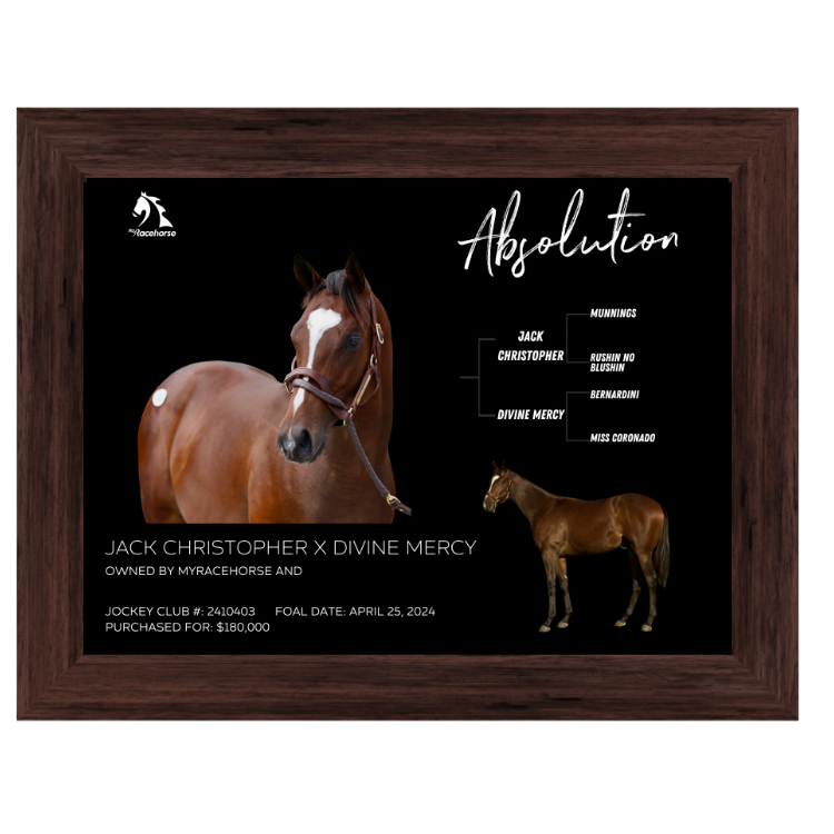Absolution Owner Photo