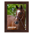 Load image into Gallery viewer, Absolution Portrait Photo
