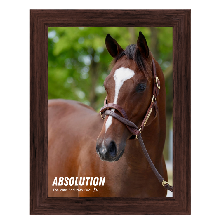 Absolution Portrait Photo
