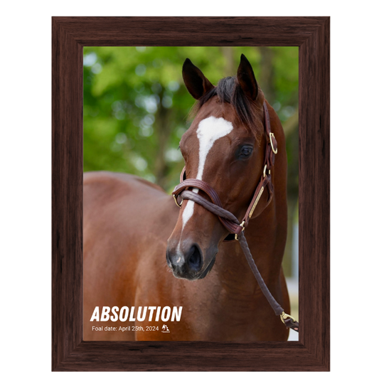 Absolution Portrait Photo