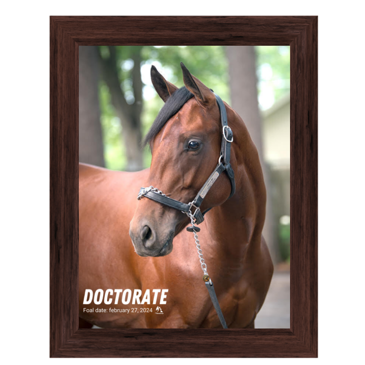 Doctorate Portrait Photo