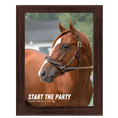 Load image into Gallery viewer, Start the Party Portrait Photo
