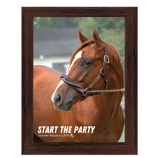 Start the Party Portrait Photo