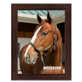 Load image into Gallery viewer, Woodburn Portrait Photo
