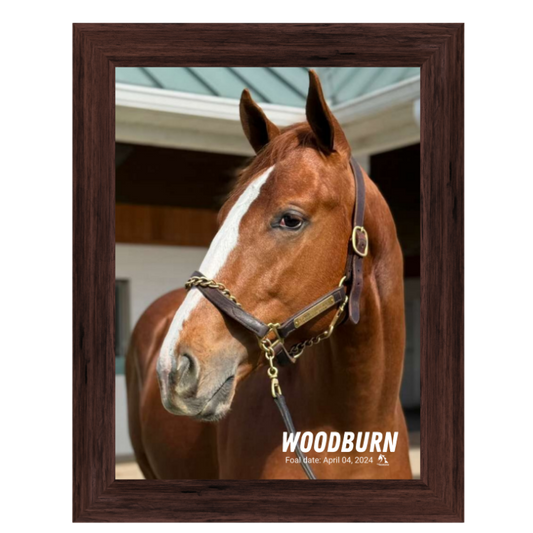 Woodburn Portrait Photo