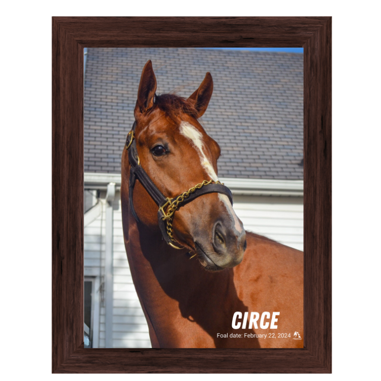 Circe Portrait Photo