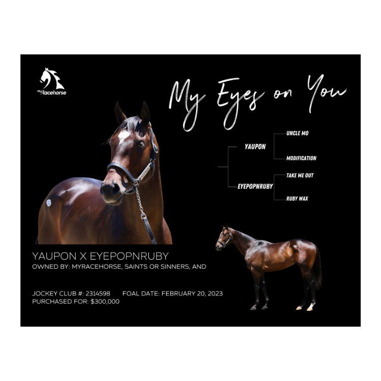 My Eyes On You Owner Photo