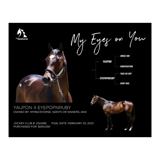 My Eyes On You Owner Photo