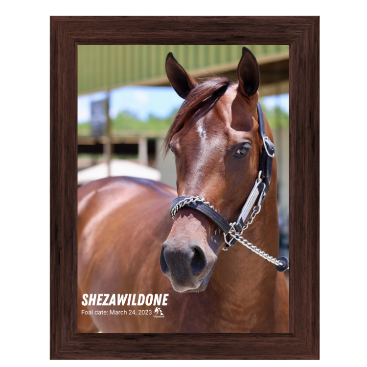 Shezawildone Portrait Photo